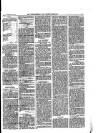 Walthamstow and Leyton Guardian Saturday 16 September 1876 Page 3