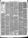 Walthamstow and Leyton Guardian Saturday 21 October 1876 Page 3