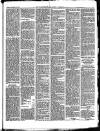 Walthamstow and Leyton Guardian Saturday 25 November 1876 Page 3