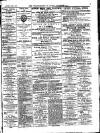 Walthamstow and Leyton Guardian Saturday 07 January 1882 Page 3