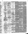 Walthamstow and Leyton Guardian Saturday 22 June 1889 Page 4