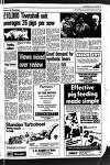 Diss Express Friday 11 January 1980 Page 11