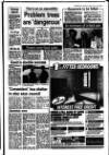 Diss Express Friday 14 February 1986 Page 9