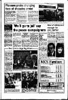 Diss Express Friday 23 January 1987 Page 3