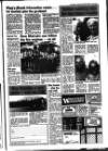 Diss Express Friday 29 July 1988 Page 3