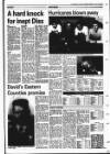 Diss Express Friday 13 January 1989 Page 33
