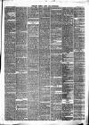 Pulman's Weekly News and Advertiser Tuesday 25 April 1865 Page 3