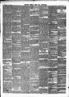 Pulman's Weekly News and Advertiser Tuesday 26 December 1865 Page 3