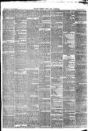 Pulman's Weekly News and Advertiser Tuesday 13 February 1872 Page 3