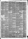 Pulman's Weekly News and Advertiser Tuesday 14 January 1873 Page 3