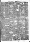 Pulman's Weekly News and Advertiser Tuesday 11 March 1873 Page 3