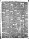 Pulman's Weekly News and Advertiser Tuesday 29 April 1873 Page 3