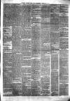 Pulman's Weekly News and Advertiser Tuesday 08 December 1874 Page 3