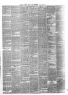 Pulman's Weekly News and Advertiser Tuesday 26 January 1875 Page 3