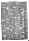 Pulman's Weekly News and Advertiser Tuesday 09 February 1875 Page 3