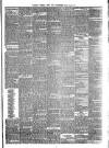 Pulman's Weekly News and Advertiser Tuesday 18 January 1876 Page 3