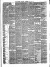 Pulman's Weekly News and Advertiser Tuesday 28 March 1876 Page 3