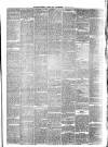 Pulman's Weekly News and Advertiser Tuesday 09 May 1876 Page 3