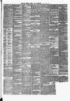 Pulman's Weekly News and Advertiser Tuesday 13 March 1877 Page 3