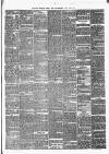 Pulman's Weekly News and Advertiser Tuesday 20 March 1877 Page 3