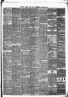 Pulman's Weekly News and Advertiser Tuesday 04 September 1877 Page 3