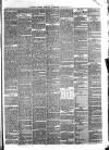 Pulman's Weekly News and Advertiser Tuesday 22 January 1878 Page 3
