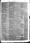 Pulman's Weekly News and Advertiser Tuesday 29 January 1878 Page 3