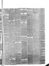 Pulman's Weekly News and Advertiser Tuesday 06 August 1878 Page 3