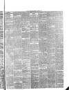 Pulman's Weekly News and Advertiser Tuesday 01 October 1878 Page 5