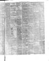 Pulman's Weekly News and Advertiser Tuesday 03 December 1878 Page 5