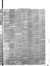 Pulman's Weekly News and Advertiser Tuesday 10 December 1878 Page 3