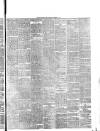 Pulman's Weekly News and Advertiser Tuesday 10 December 1878 Page 5