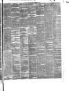 Pulman's Weekly News and Advertiser Tuesday 31 December 1878 Page 5