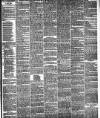 Pulman's Weekly News and Advertiser Tuesday 14 January 1879 Page 3