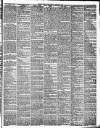 Pulman's Weekly News and Advertiser Tuesday 21 January 1879 Page 3