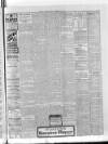 Eltham & District Times Friday 01 December 1911 Page 11