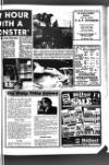 Fenland Citizen Wednesday 28 January 1976 Page 13