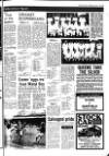 Fenland Citizen Wednesday 21 April 1976 Page 19