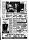 Fenland Citizen Wednesday 18 February 1987 Page 3