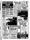 Fenland Citizen Wednesday 03 June 1987 Page 3