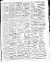 Colonial Standard and Jamaica Despatch Thursday 25 February 1864 Page 3
