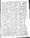 Colonial Standard and Jamaica Despatch Friday 26 February 1864 Page 3