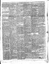 Colonial Standard and Jamaica Despatch Thursday 06 May 1869 Page 3