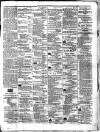 Colonial Standard and Jamaica Despatch Tuesday 15 June 1869 Page 3