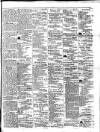 Colonial Standard and Jamaica Despatch Wednesday 23 June 1869 Page 3