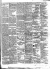 Colonial Standard and Jamaica Despatch Friday 25 June 1869 Page 3