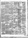 Colonial Standard and Jamaica Despatch Monday 28 June 1869 Page 3