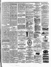 Colonial Standard and Jamaica Despatch Wednesday 10 July 1872 Page 7