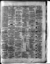 Colonial Standard and Jamaica Despatch Friday 08 January 1875 Page 3