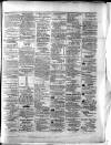 Colonial Standard and Jamaica Despatch Wednesday 20 January 1875 Page 3